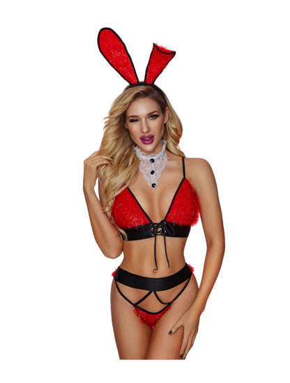 Sexy Miss Rabbit 4-Piece Costume