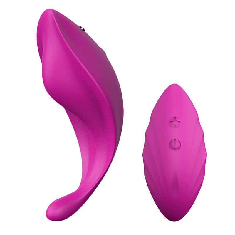 Luxury Remote Control Knicker/Panty Vibrator